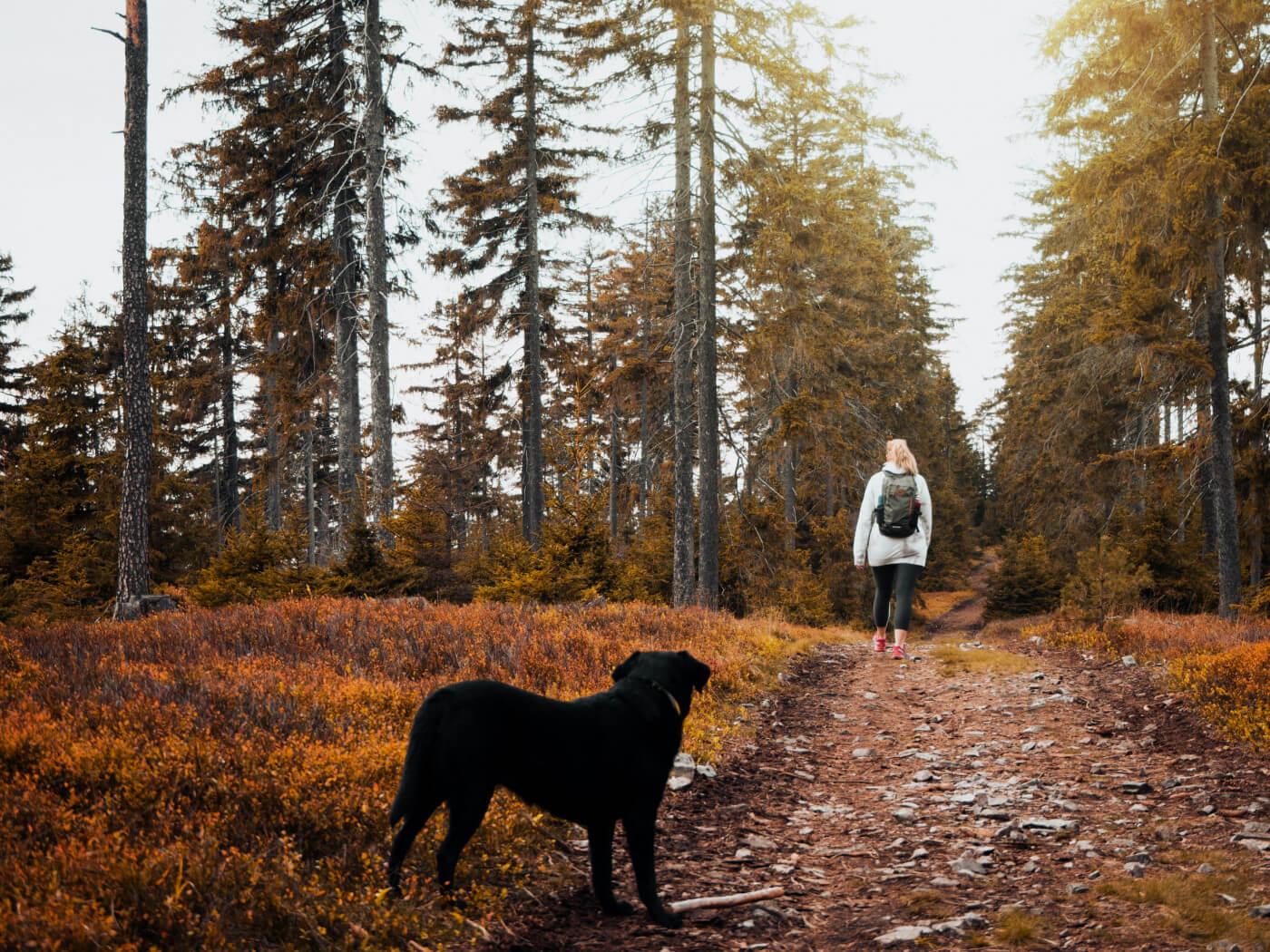 What to Wear for Fall Backpacking Season