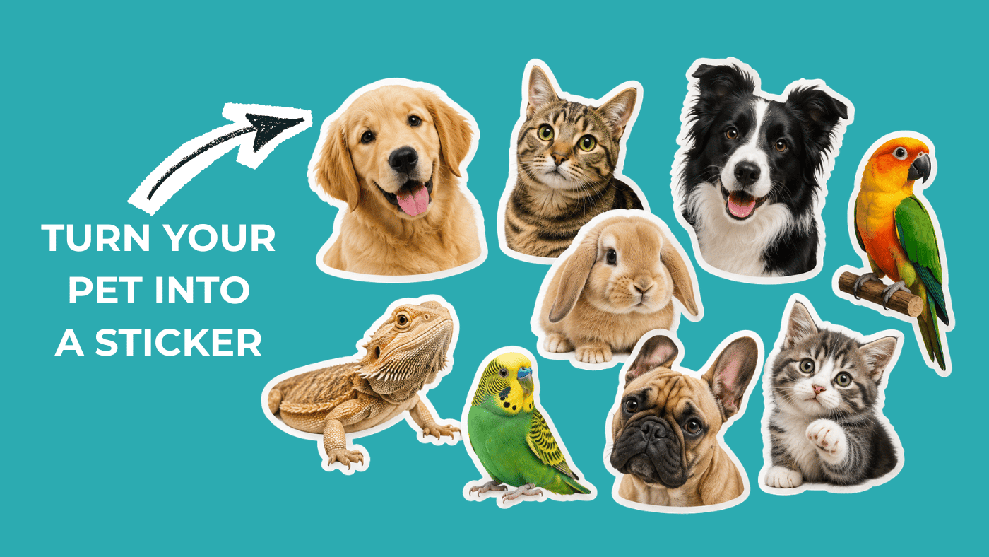 Pets Sticker Scenes Custom Pet Stickers From Your Favorite Photo – CustomStickers.com