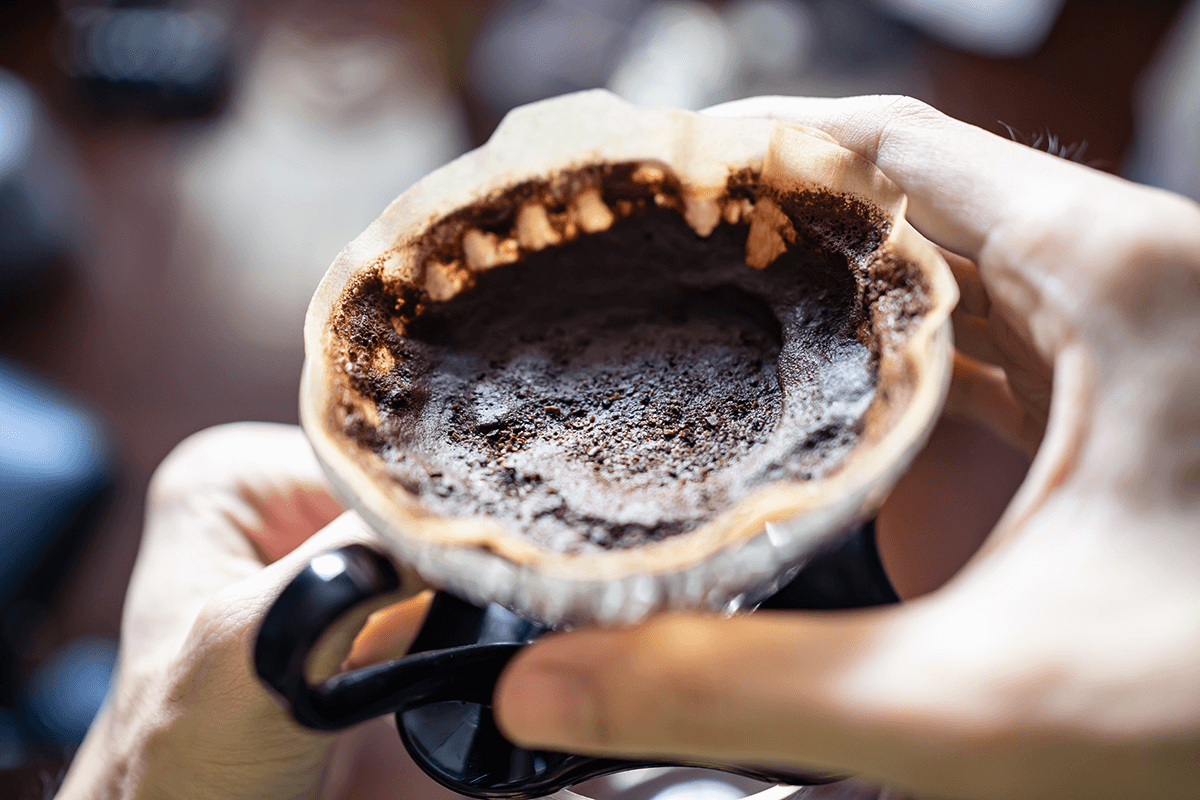 Three Ways You Can Recycle Old Coffee Grounds