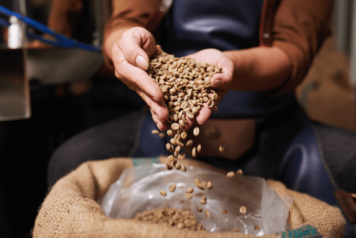 Robusta vs Arabica: Exploding the Myths