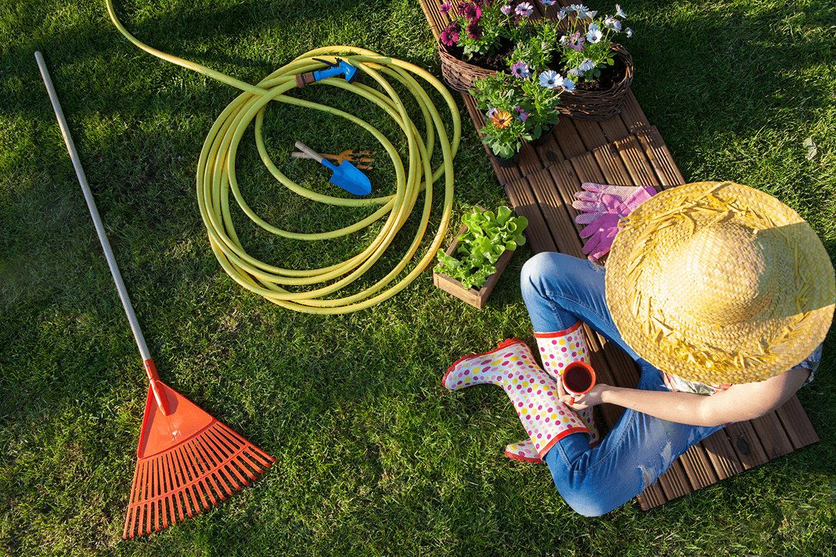 Should You Water Your Lawn with Coffee?