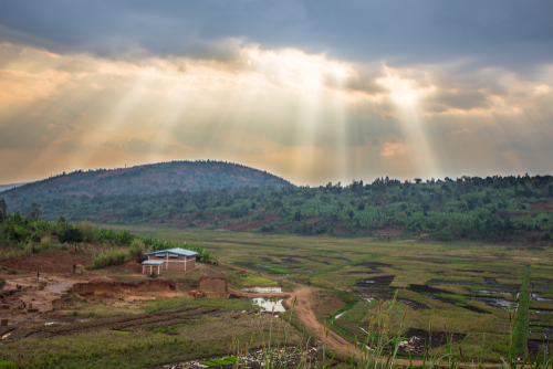 How Sustainable is Your Cup of Coffee