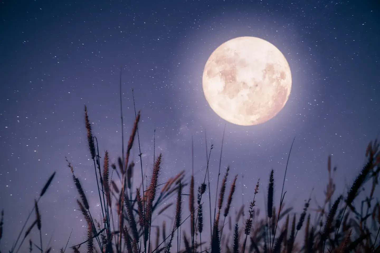 FULL HARVEST MOON