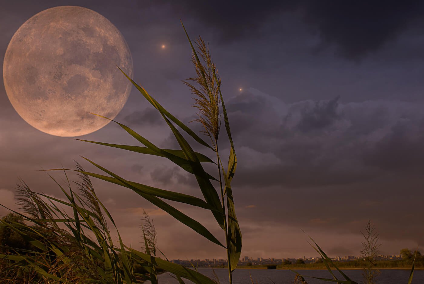 MOON MUSINGS: THE FULL MOON IN PISCES