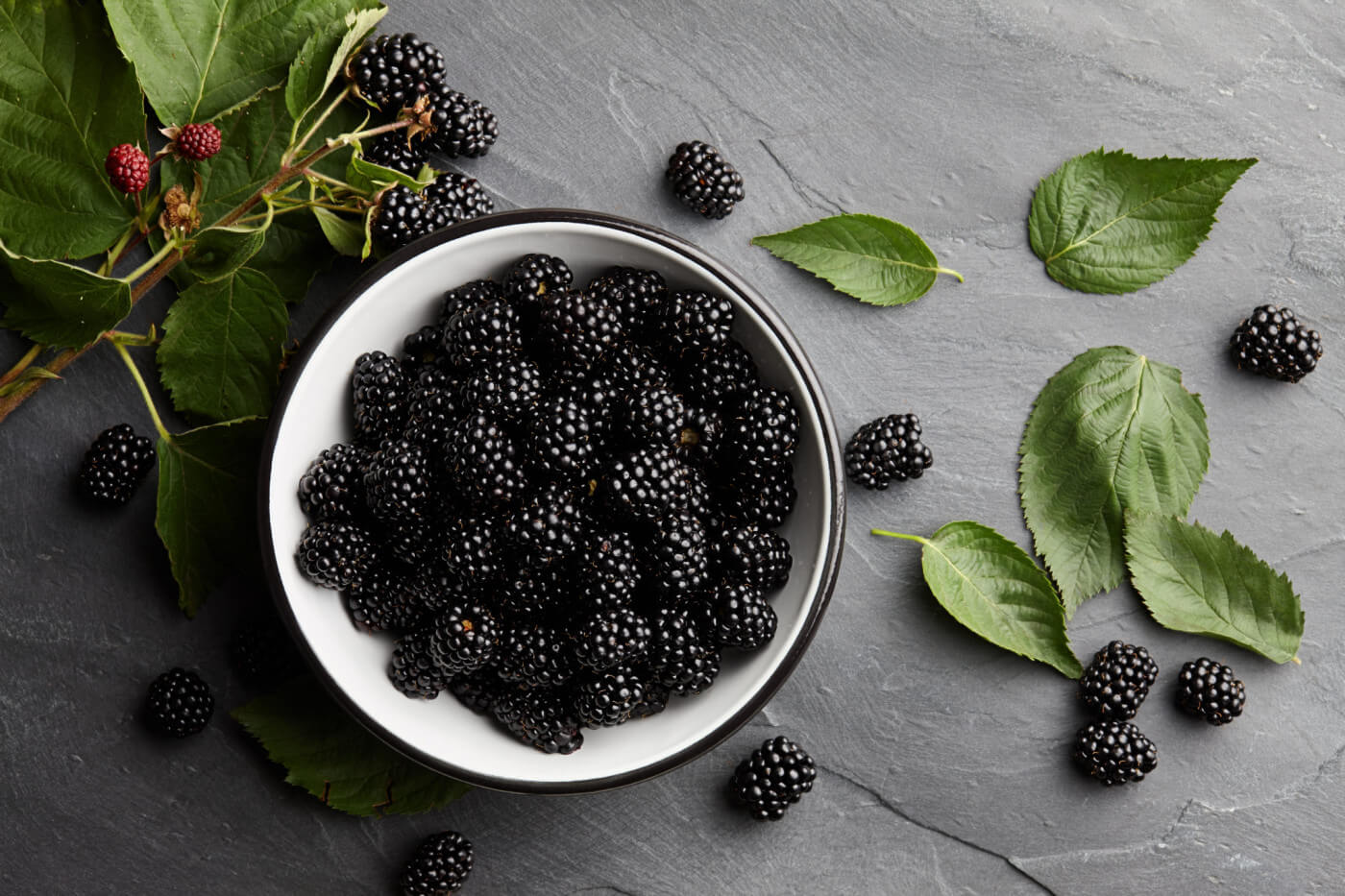 WILD MEDICINE SERIES: BLACKBERRY