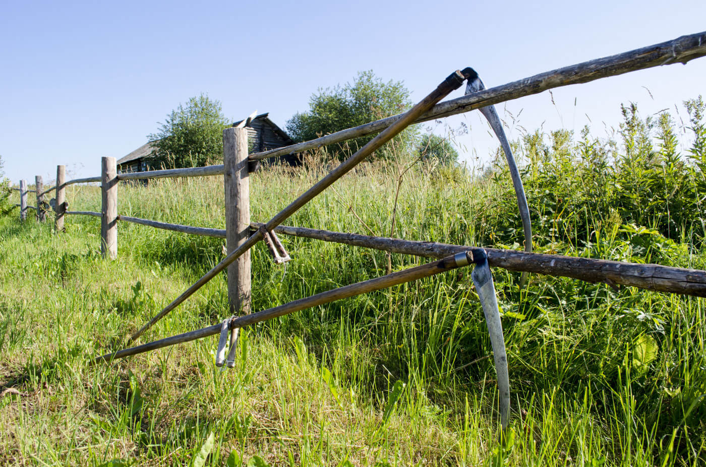 STORYTIME: THE FARMER AND THE BOGGART