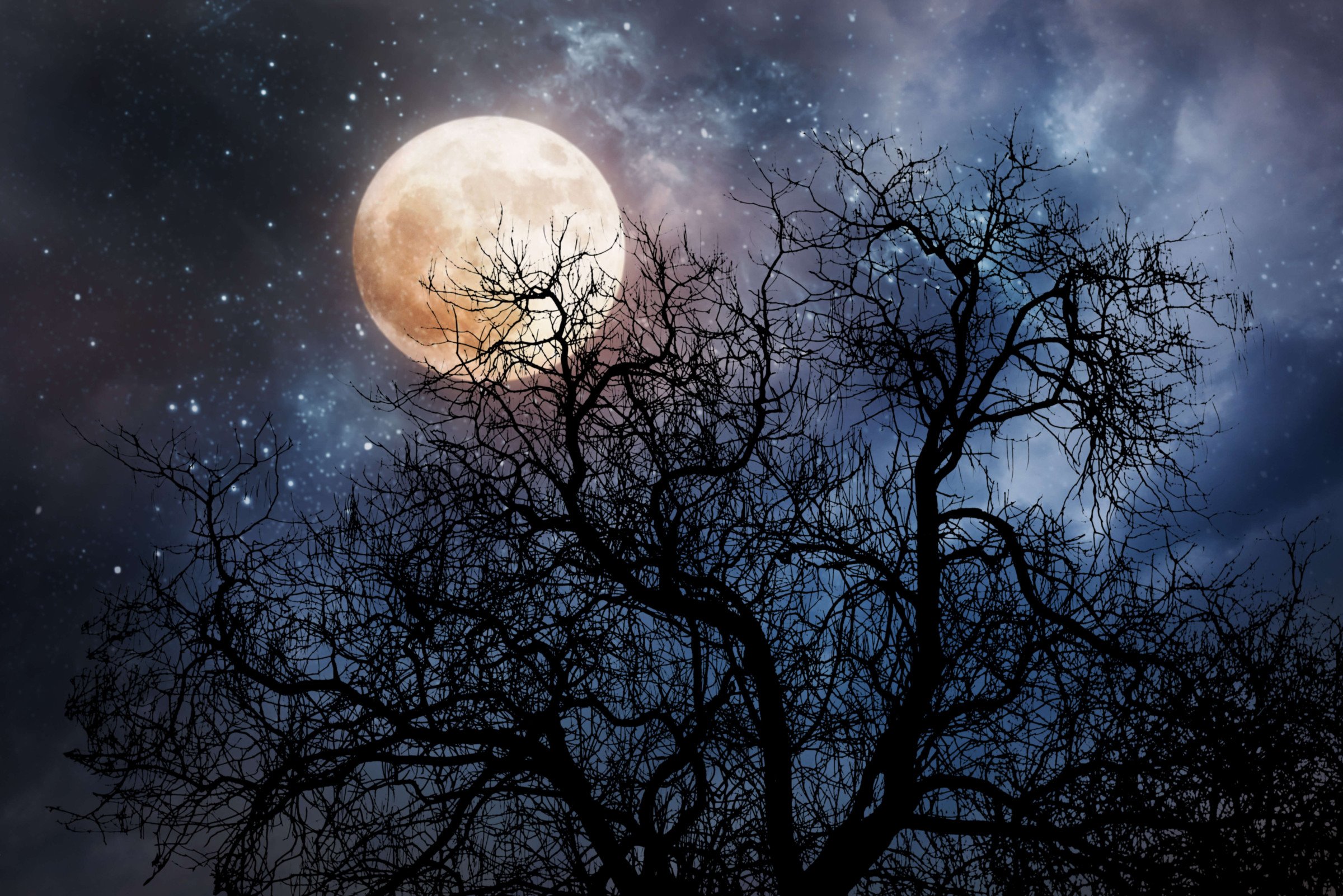 MOON MUSINGS: THE FULL QUIET MOON IN CANCER