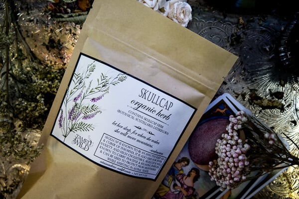 WILD MEDICINE SERIES: SKULLCAP