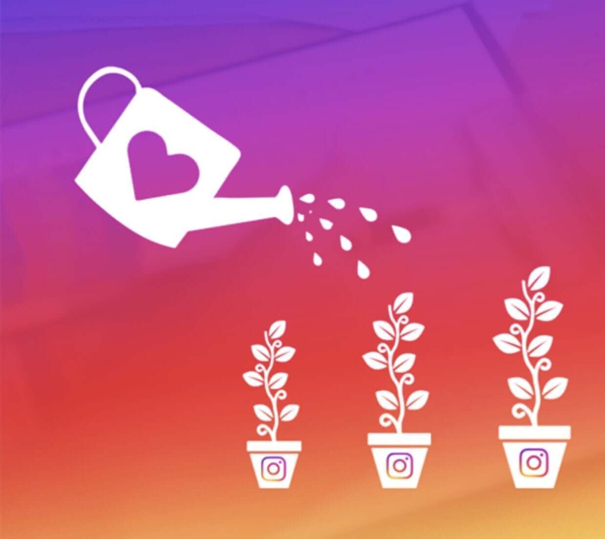 The Best at Instagram Growth | Instagram Growth Engine