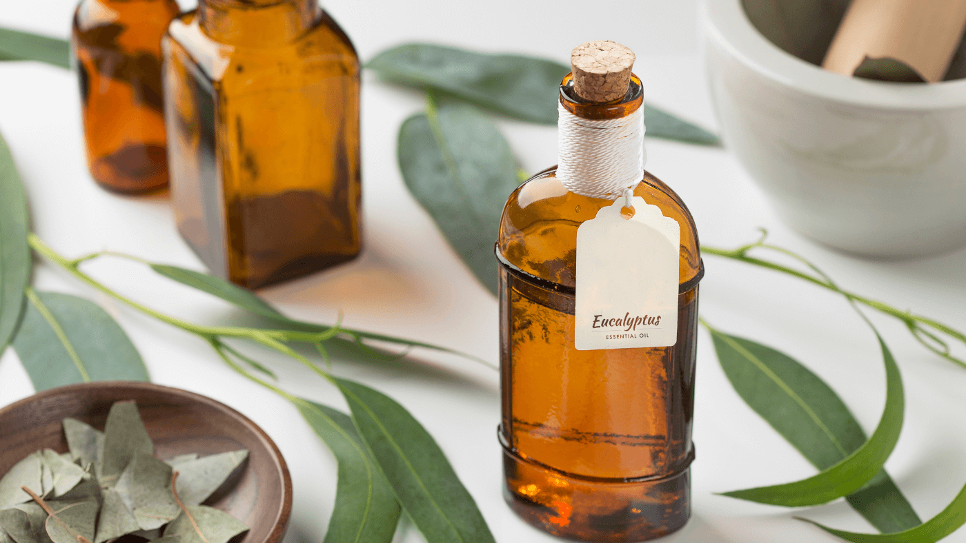 Eucalyptus Oil: The Secret to a Soothing and Invigorating Lifestyle