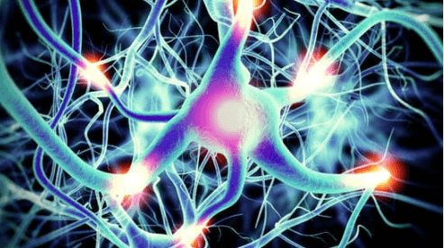 Vagus Nerve Stimulation: Key to Better Health, Sleep and Stress Relief.