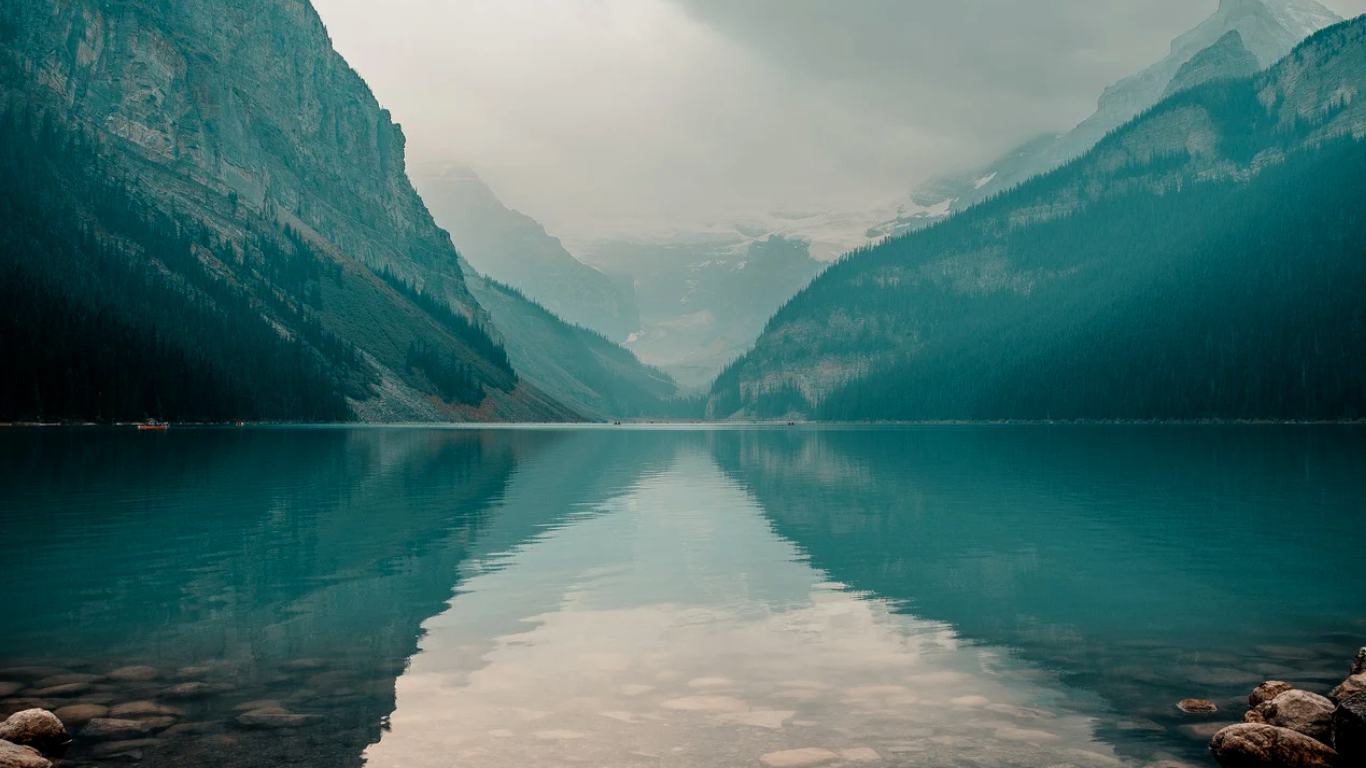 Discover Your Wellness Personality: Take the Quiz!