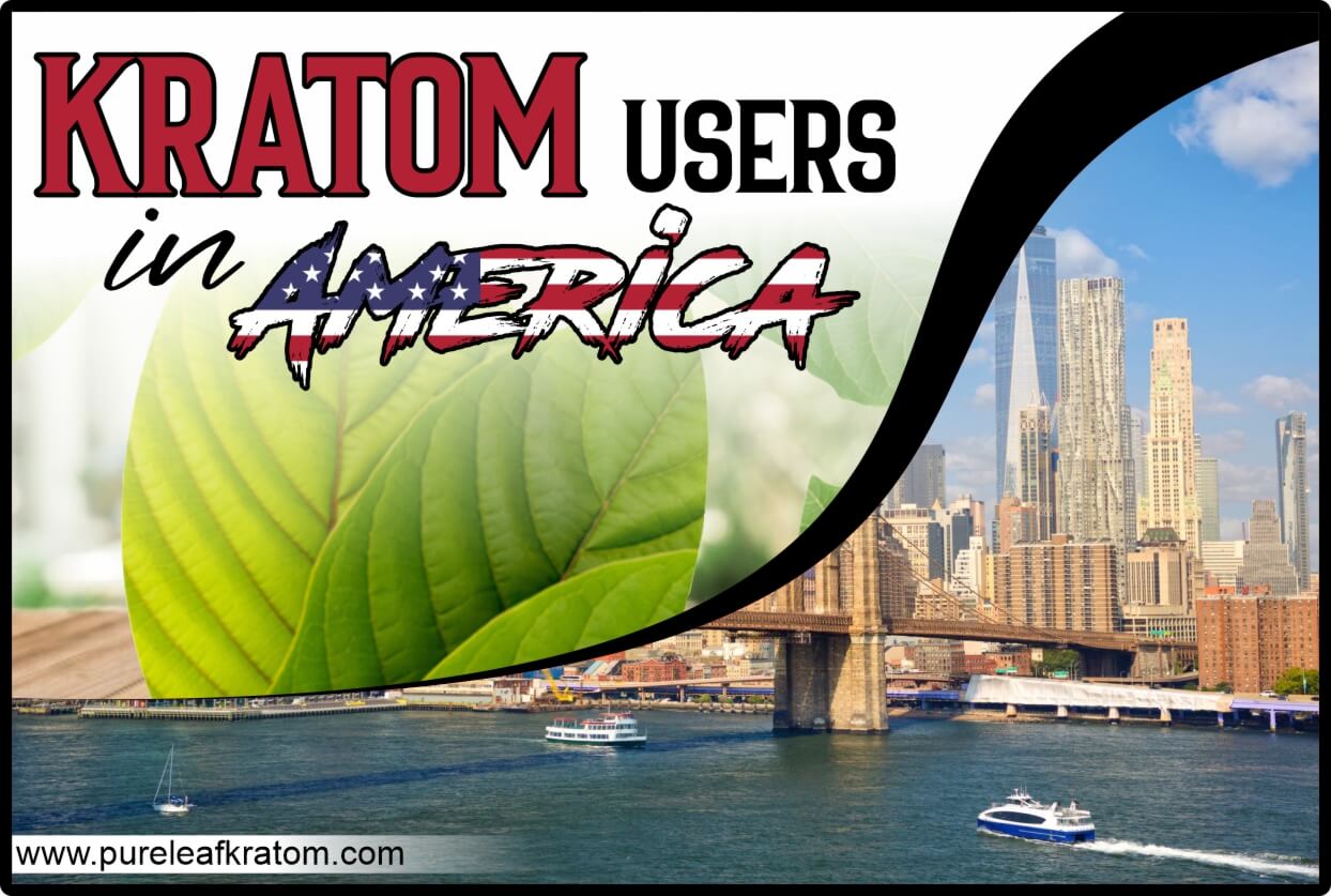 The Diversity Of kratom Users In America