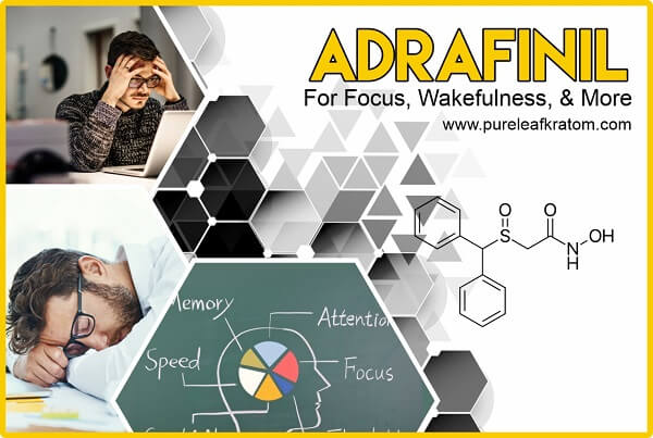 Adrafinil for Focus: Natural Phenom That Boosts Productivity