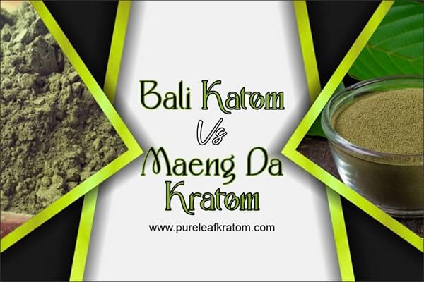 Bali Kratom Vs. Maeng Da Kratom: How Are They Similar & Different?