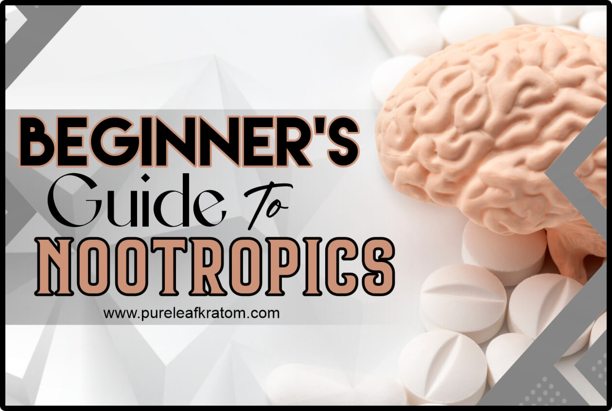 A Beginner's Guide to Nootropics: Unlocking the Potential
