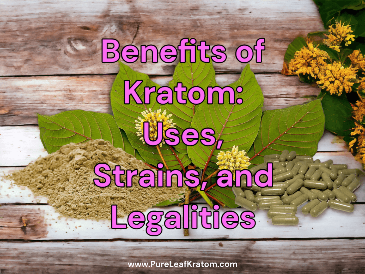 Demystifying Kratom: Understanding Its Uses, Benefits, Strains, and Legal Landscape