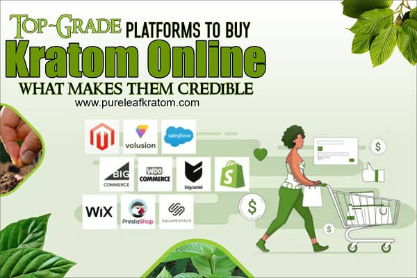 Top-Grade Platforms to Buy Kratom Online: What Makes Them Credible?