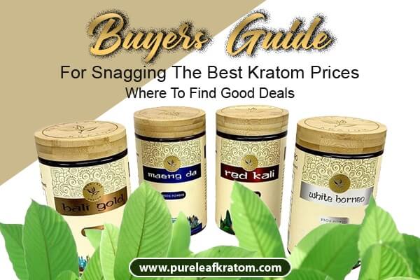 Buyers' Guide For Snagging The Best Kratom Prices - Where To Find Good Deals