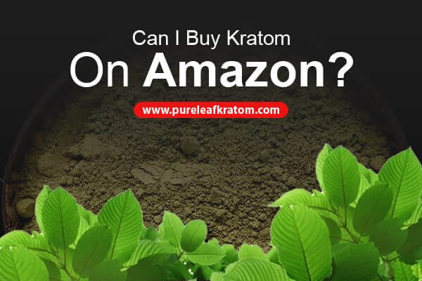 Fact Check: Can I Buy Kratom On Amazon?