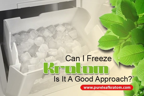 Can I Freeze Kratom? Is It a Good Approach?