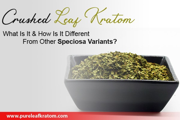 Crushed Leaf Kratom: What Is It & How Is It Different?
