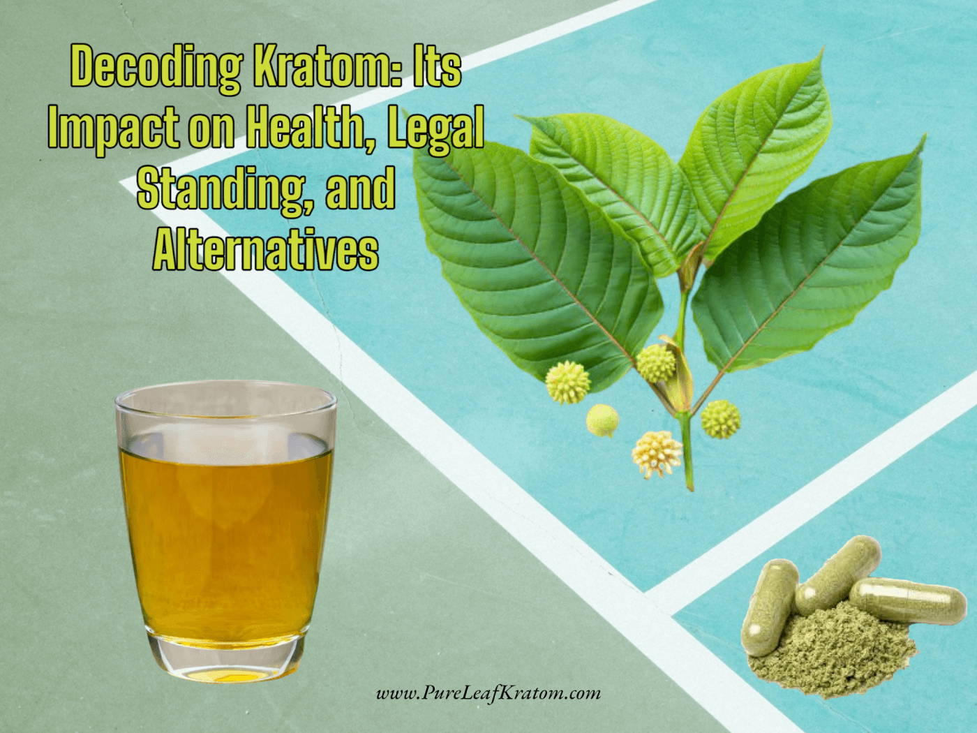 Decoding Kratom: Its Impact on Health, Legal Standing, and Alternatives