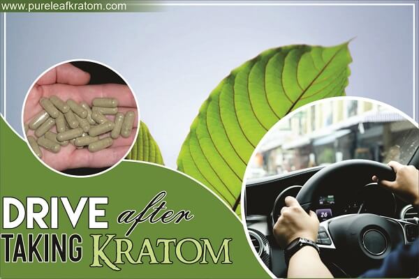 Is It Safe To Drive After Taking Kratom? Can I Ingest it on the Road?