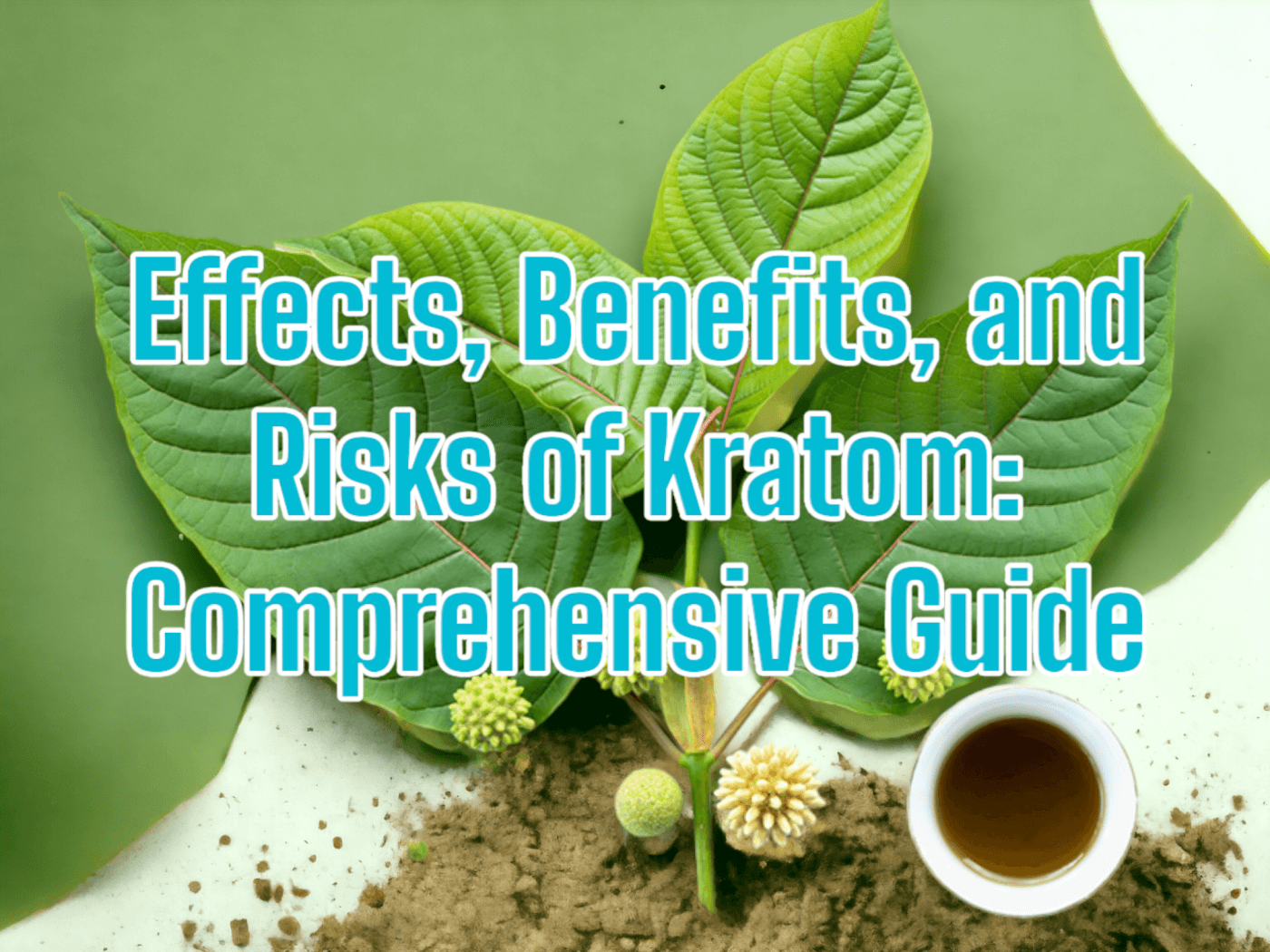 Navigating the World of Kratom: Insights on Its Effects, Benefits, and Risks