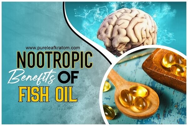 The Benefits Of Fish Oil Nootropics As A Supplement