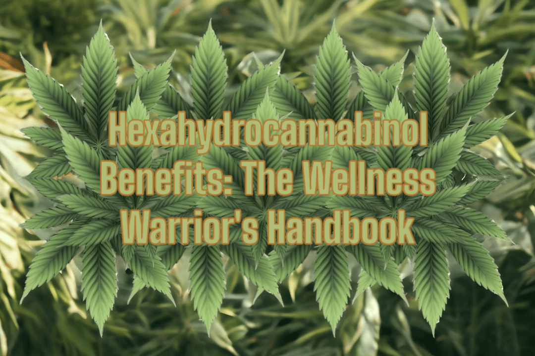 The Wellness Warrior's Handbook to Hexahydrocannabinol (HHC): Benefits and Uses Compared
