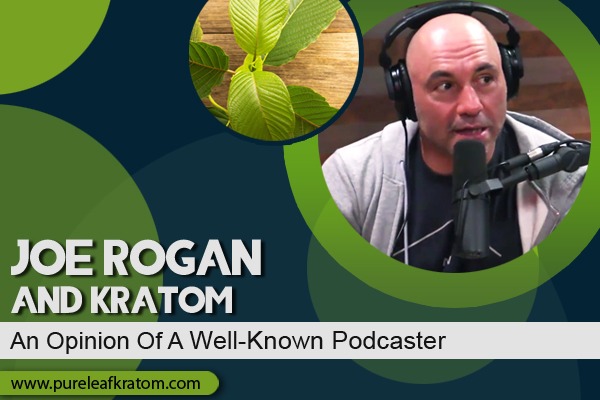 Joe Rogan and Kratom: An Opinion of a Well-Known Podcaster