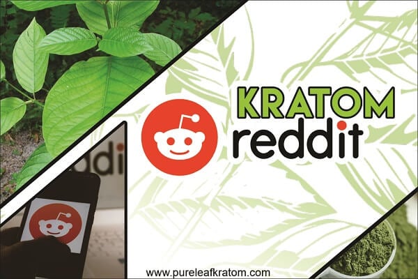 Popular Forms of Kratom: Top Vendors to Buy Kratom According to Reddit