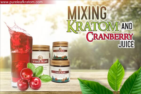Mixing Kratom and Cranberry Juice: Do They Complement Each Other?