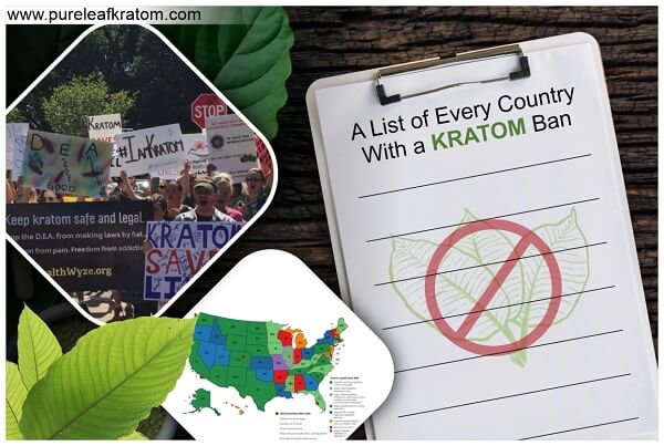 Kratom Ban: List of Countries Where You Can’t Consume this Botanical