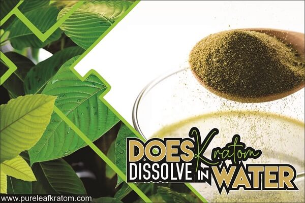 How Does Kratom Dissolve in Water? A Brief Guide