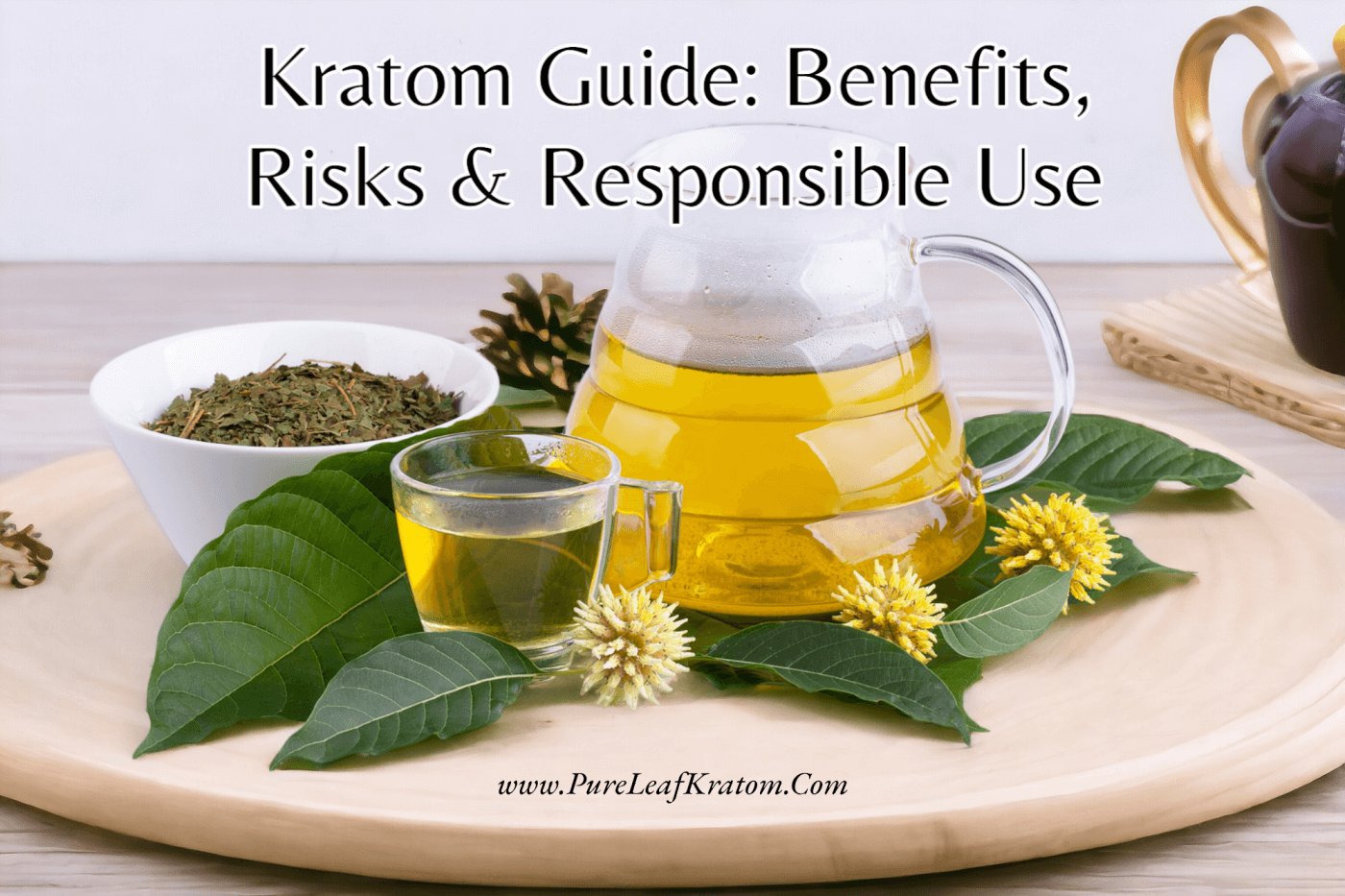 A Comprehensive Guide to Kratom: Benefits, Risks, and Responsible Use