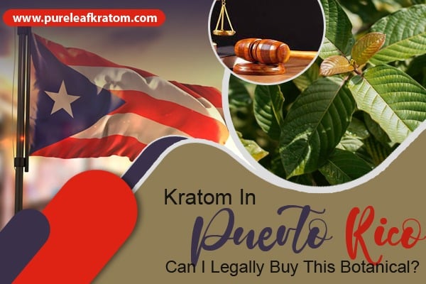 Kratom in Puerto Rico: Can I Legally Buy This Botanical?