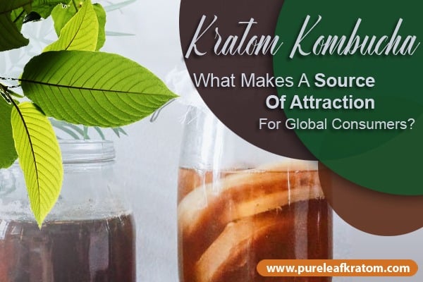 Kratom Kombucha: What Makes it a Source of Attraction for Global Consumers?