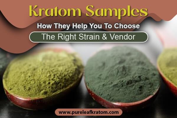 Kratom Samples: How They Help You Choose the Right Strain & Vendor?