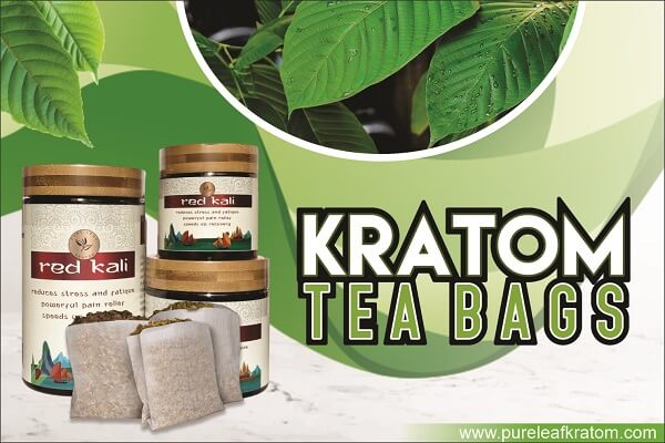 How to Use Kratom Tea Bags? Worth Taking Tips