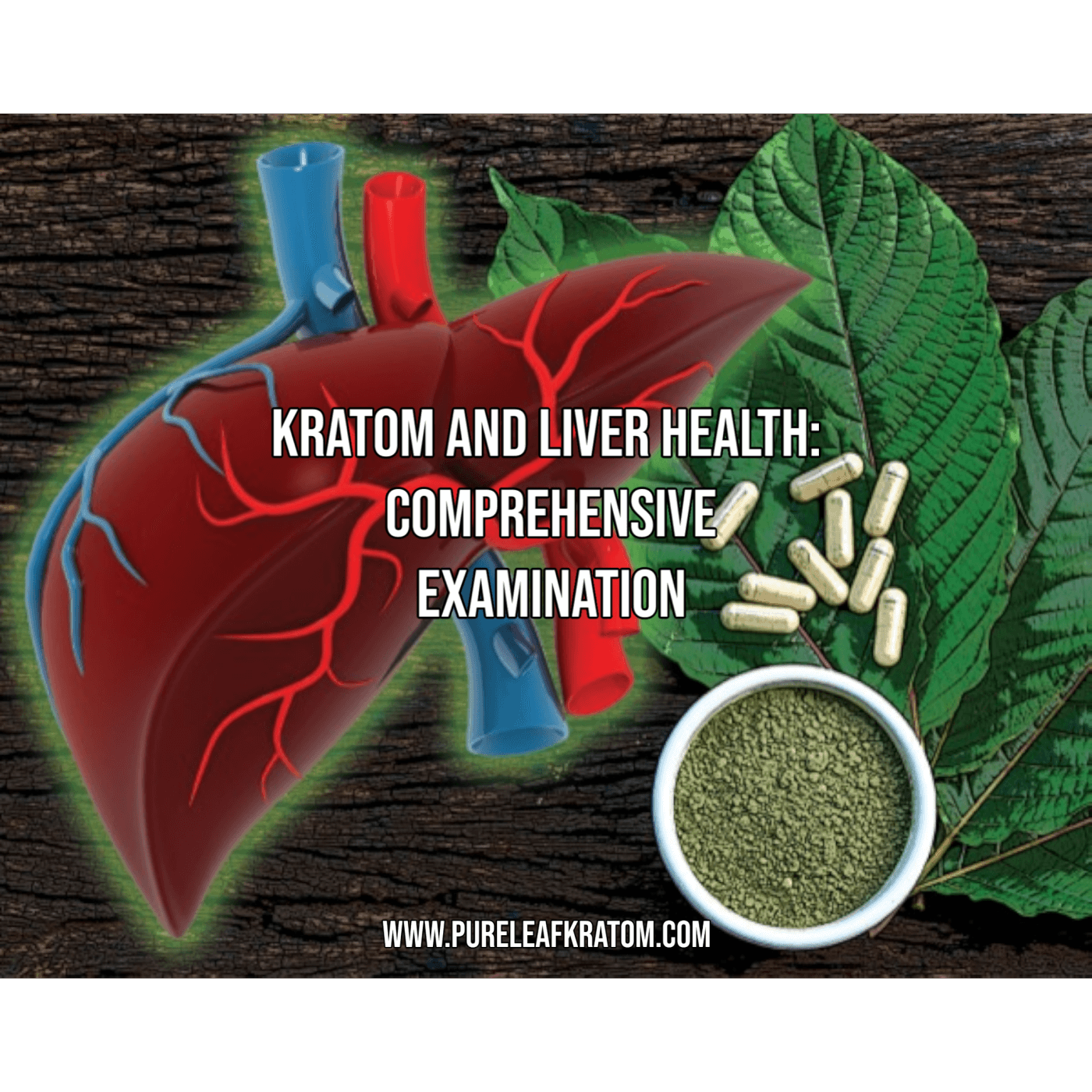 How Hard is Kratom on the Liver?: A Comprehensive Examination of Kratom's Impact on Liver Health