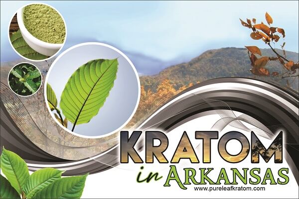 Kratom in Arkansas? The Legal Status & Consumption Penalties