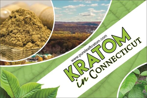 Kratom in Connecticut: Is it Legal to Purchase & Possess?