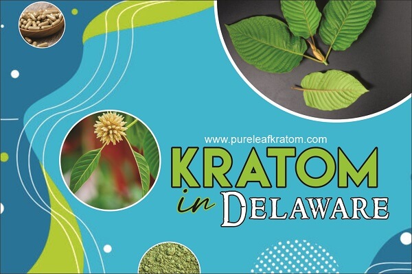 Is it Safe to Use Kratom in Delaware? All About Legality and Availability