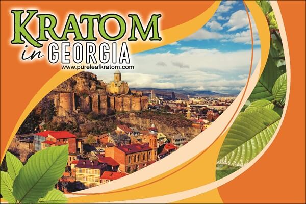 Where To Buy Kratom In Georgia? Is It Legal?