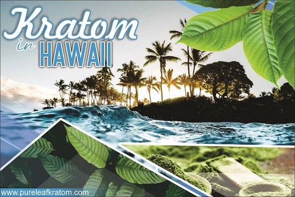 The Exotic Kratom In Hawaii. Is It Legal? - Best Place to Buy Kratom in State