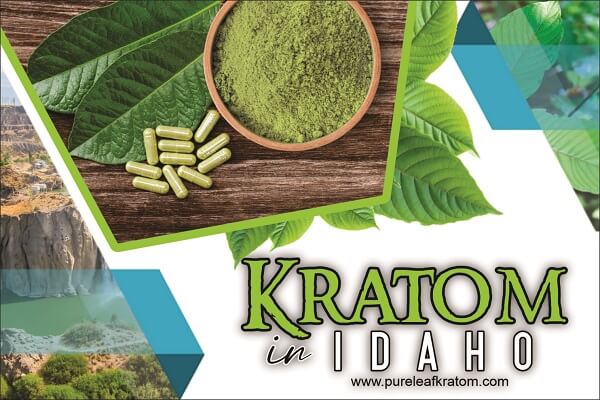 Learn all about the Legal Status of Kratom in Idaho