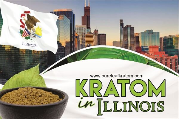 Where to Buy Kratom in Illinois - Local & Online