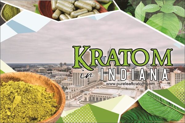 Will I find Kratom in Indiana? - Best Places to Buy Kratom